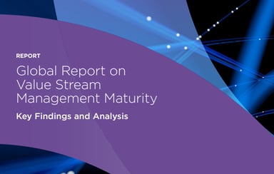 A Global View of VSM Maturity