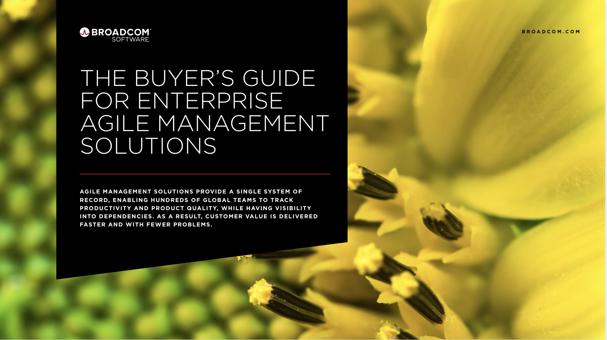 Buyers Guide For Enterprise Agile Management Solutions image